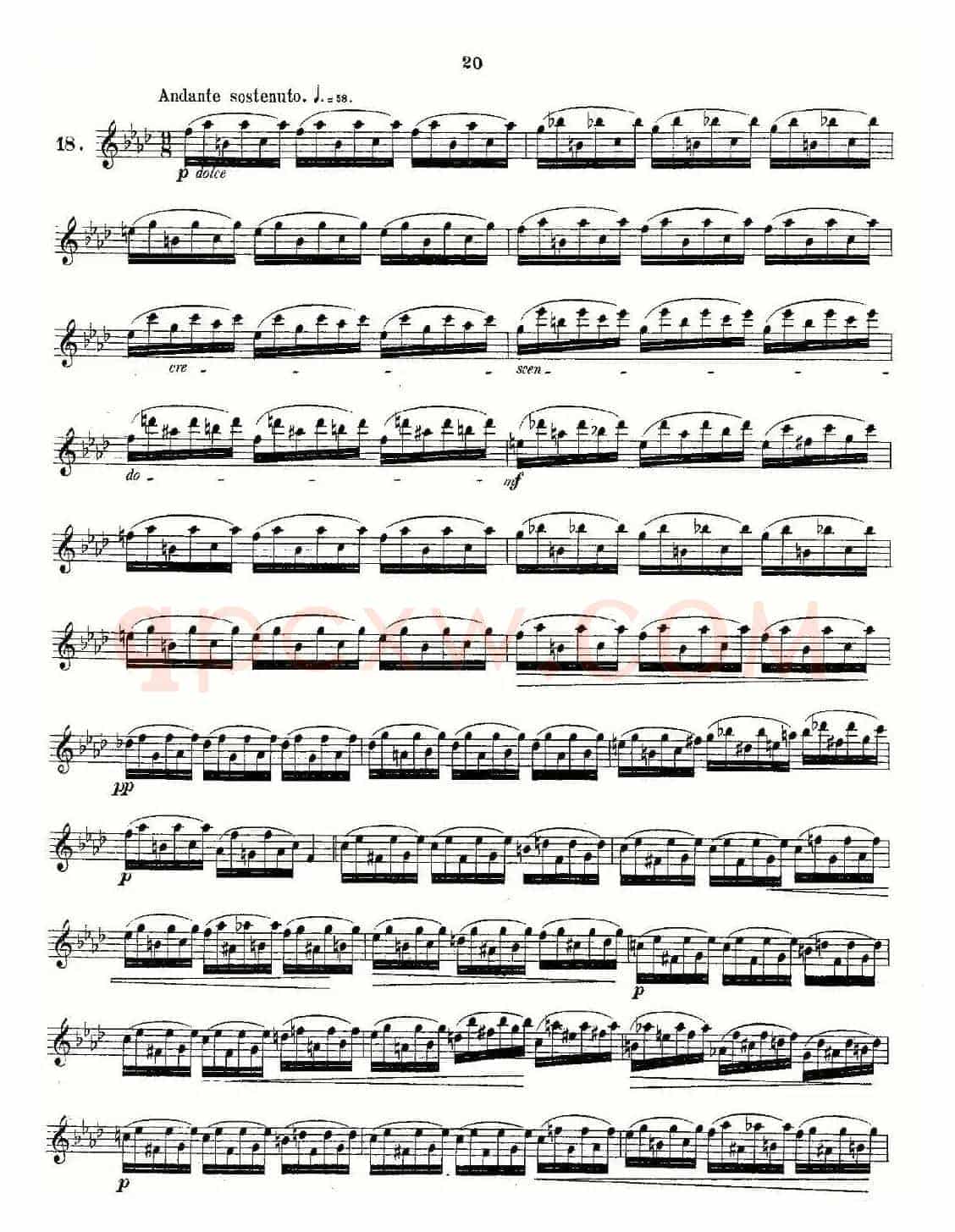 Andersen etude op30 之13—24（练习曲作品30号）