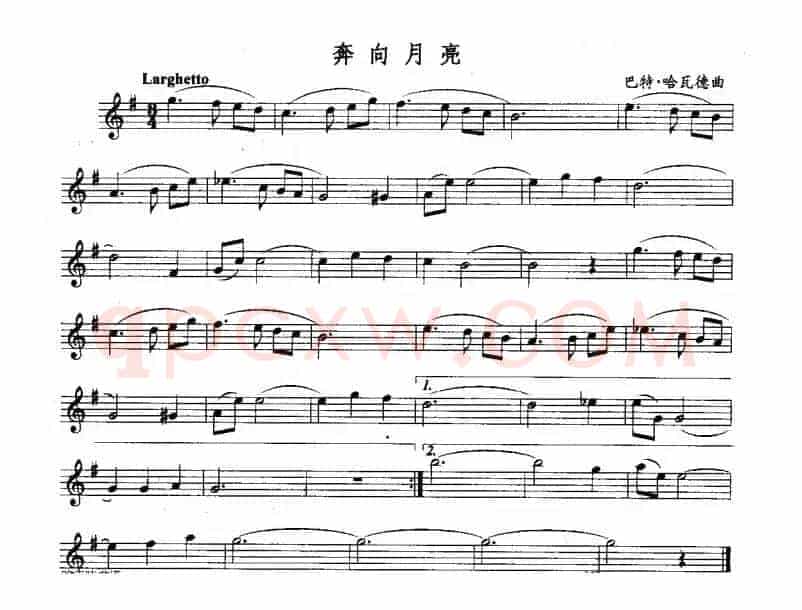 奔向月亮