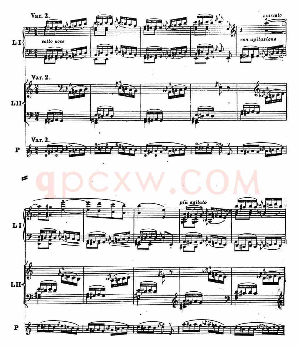 6首帕格尼尼大练习曲(Thema mit Variationen Etude Nr.6)