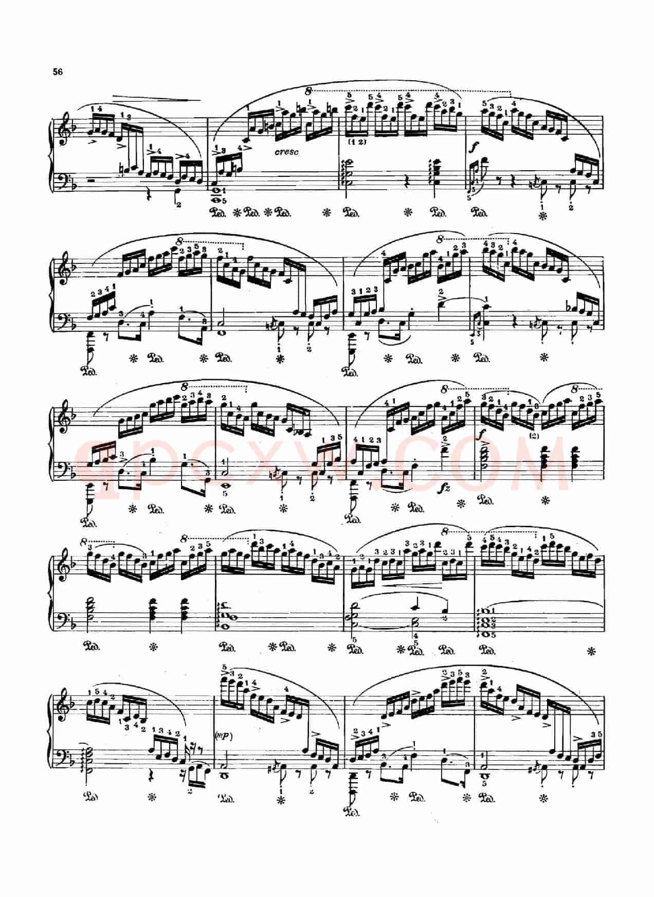 12 Etudes Op.10 柯尔托教学版(12首练习曲·8)