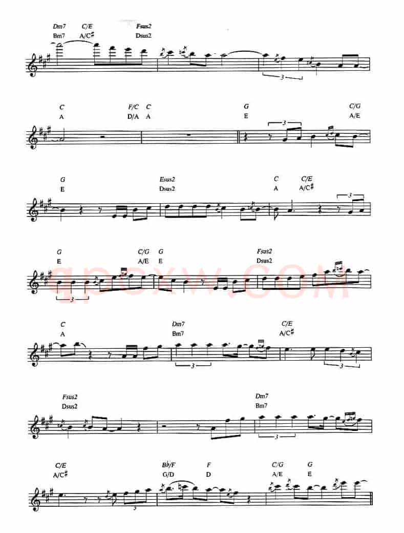 Dave Koz - Castle of dreams（原版中音萨克斯谱）