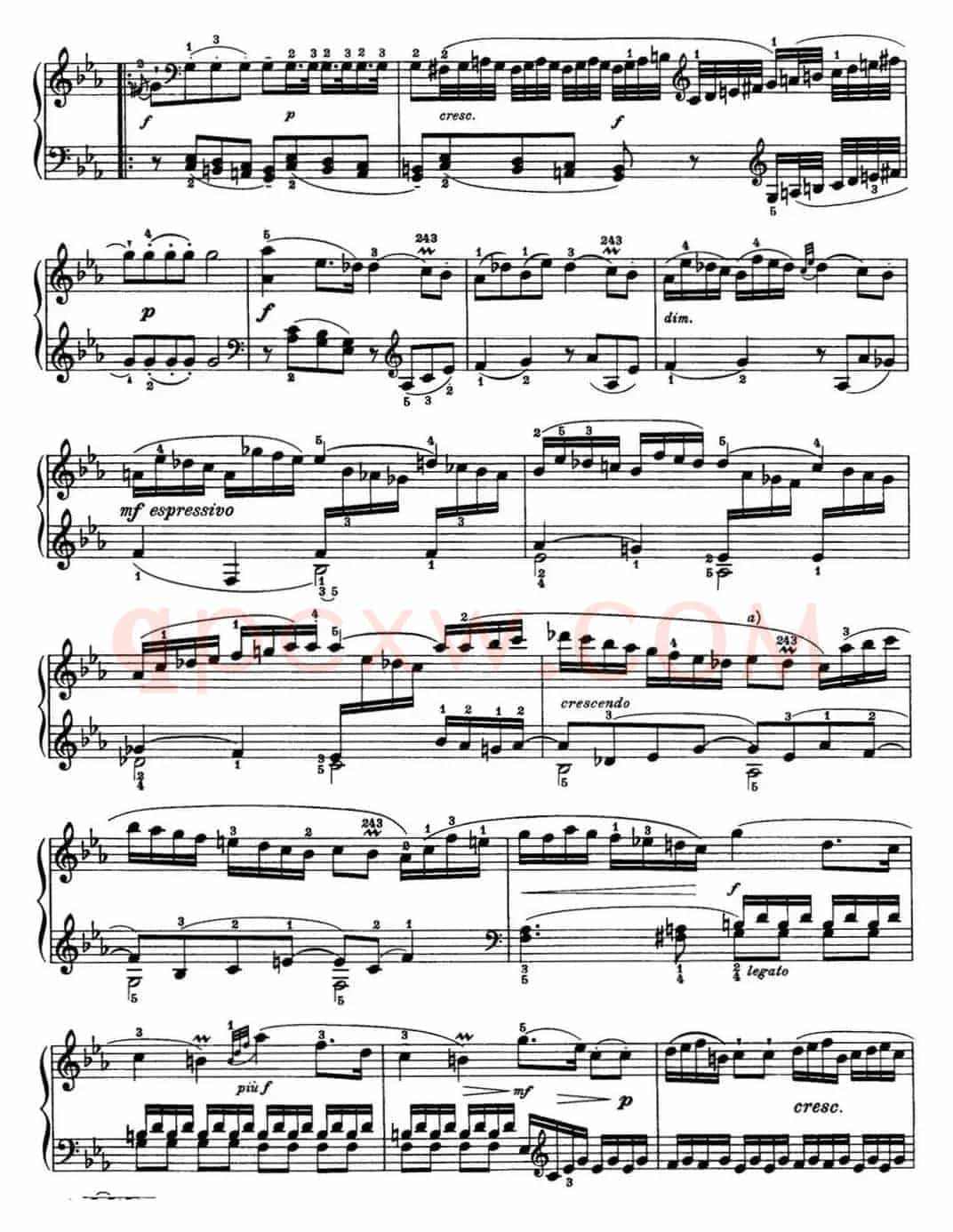 海顿 钢琴奏鸣曲 Hob XVI 38 in E-flat major