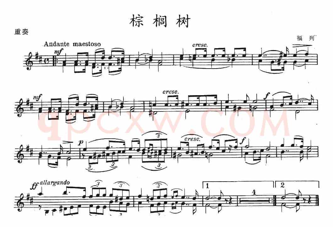 棕榈树（重奏）