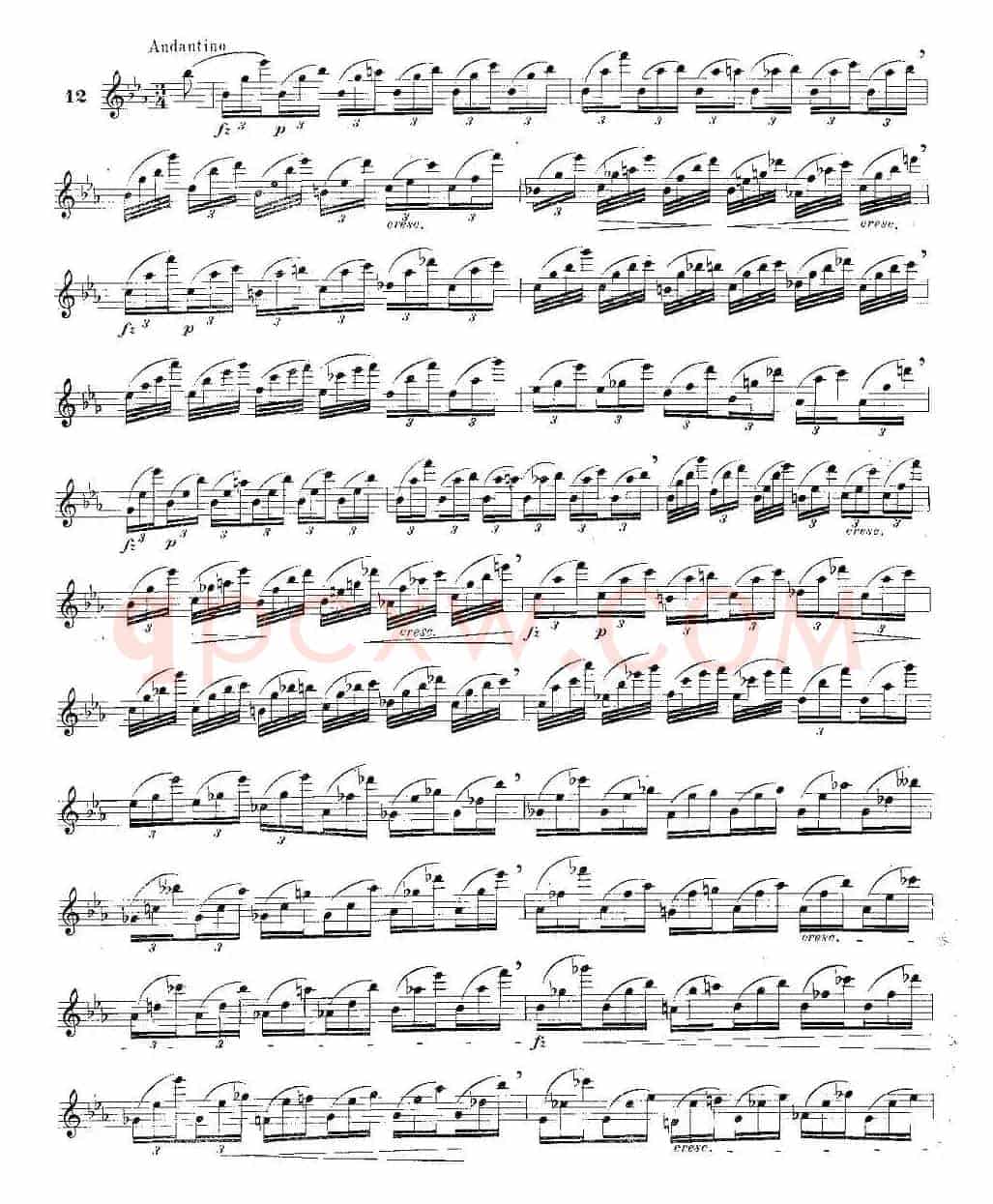 12首大技巧练习曲之12