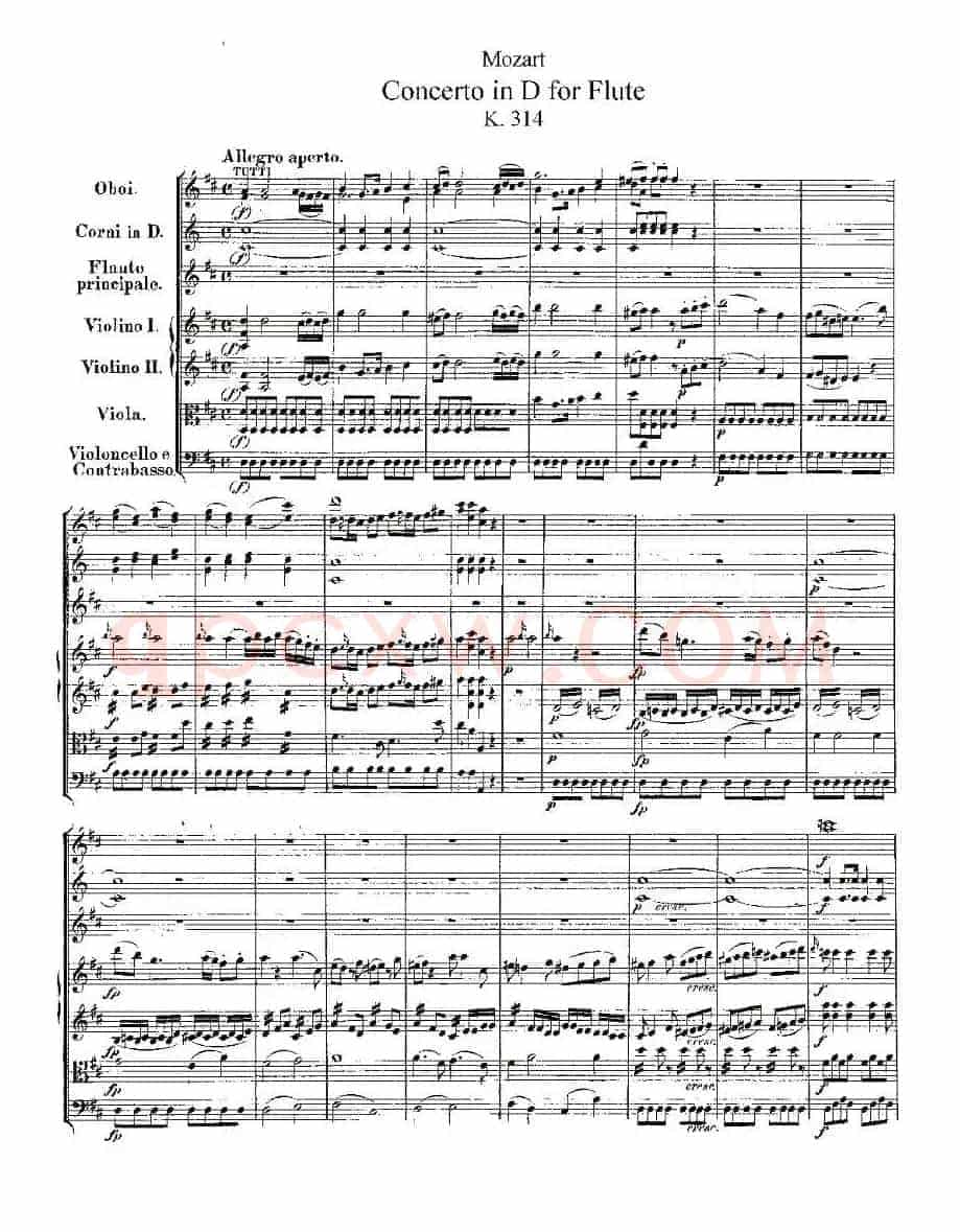 Concerto in D for Flute, K.314(D大调长笛协奏曲)