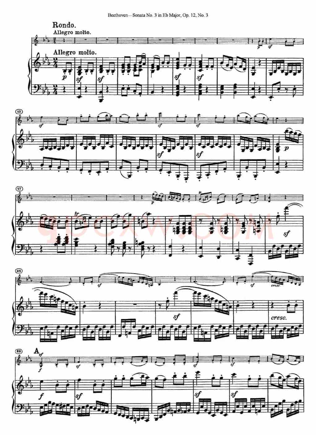 Violin Sonata No.3 in Eb Major Op.12 No.3（小提琴+钢琴伴奏）