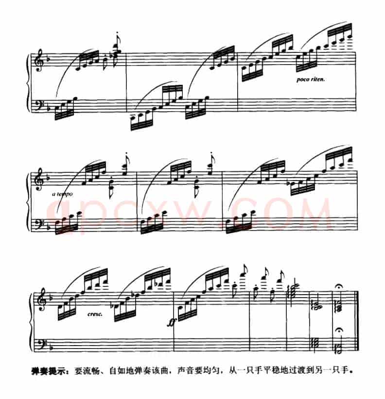 大海的浪花