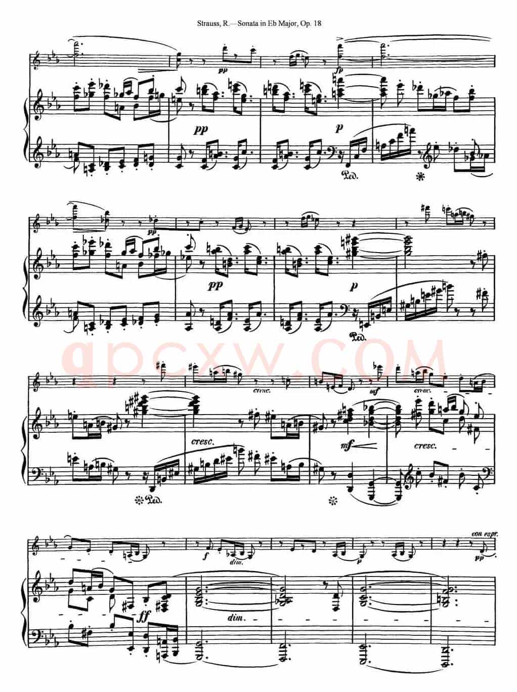 Violin Sonata in Eb Major Op.18（小提琴+钢琴伴奏）