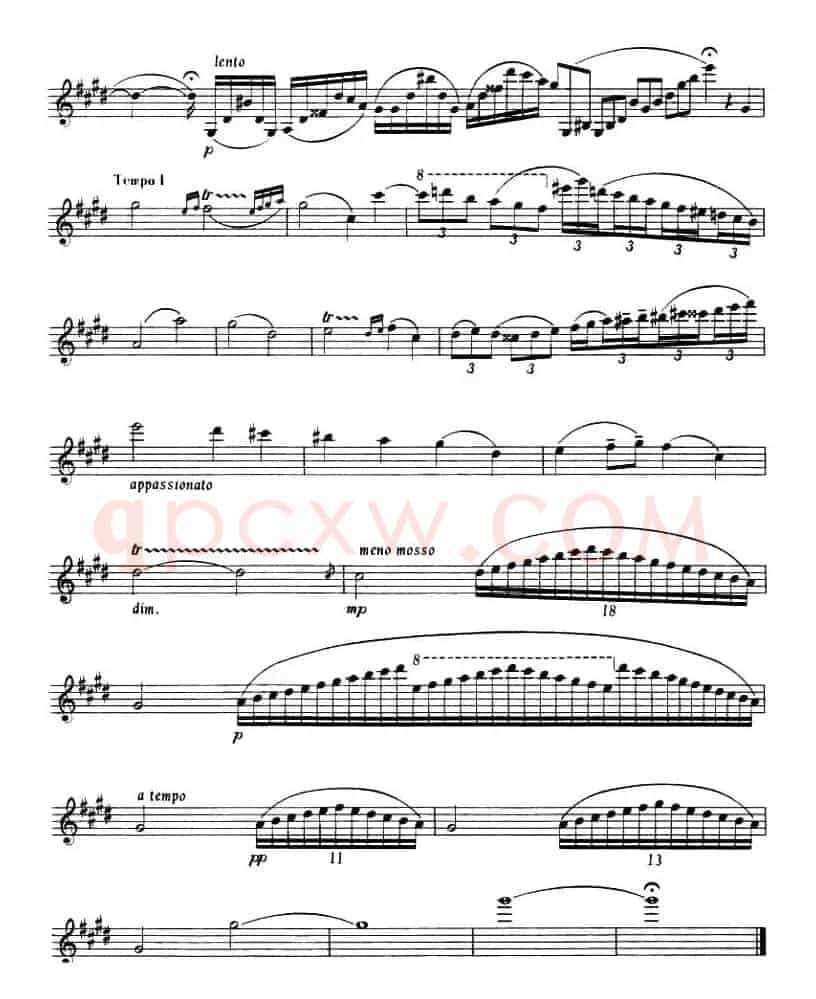 NOCTURNE