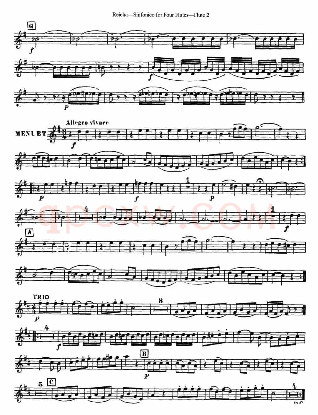 瑞查长笛四重奏（Flute 2）