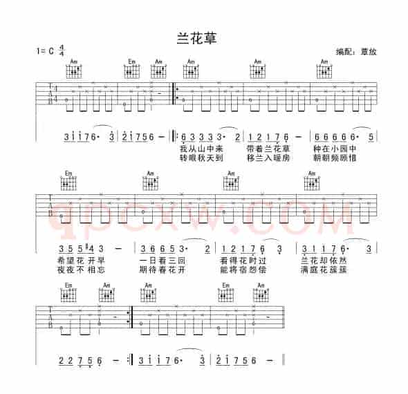 兰花草（7个版本）