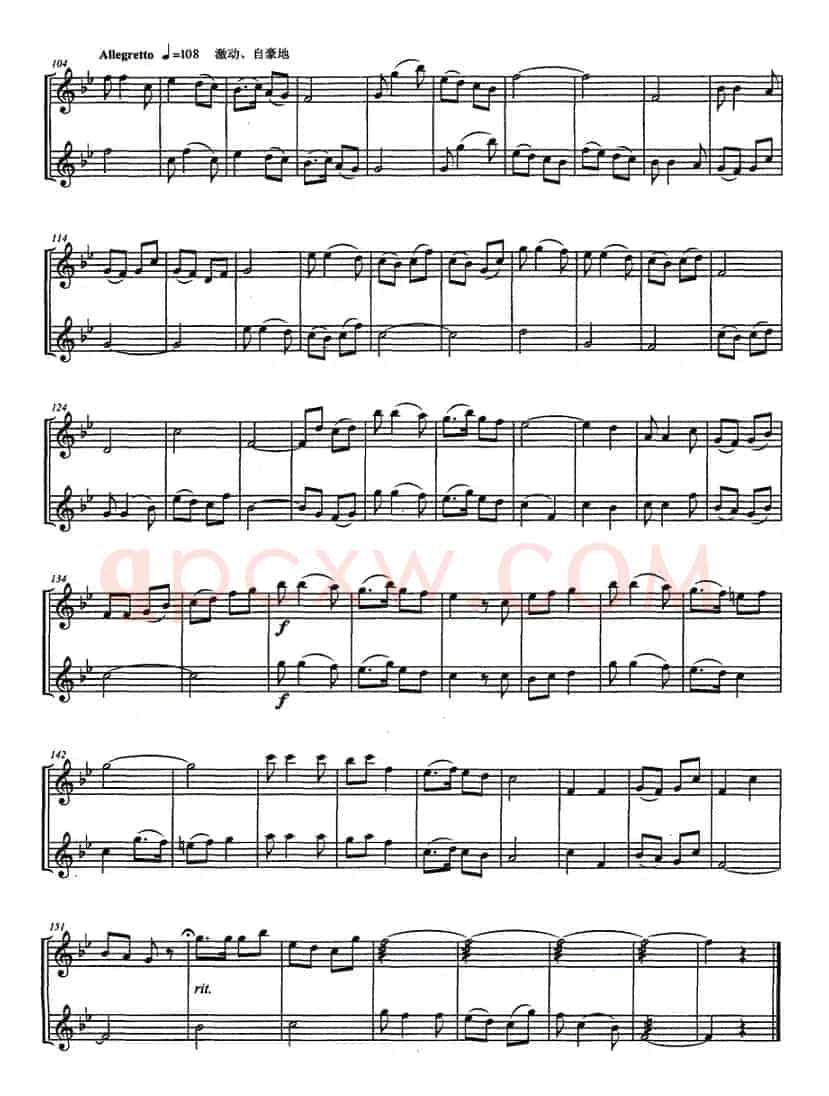 琴思（张飞龙作曲版、二胡重奏曲）