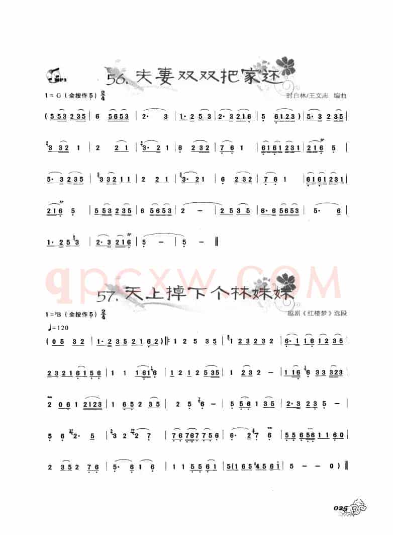 葫芦丝曲精选：夫妻双双把家还 天上掉下个林妹妹