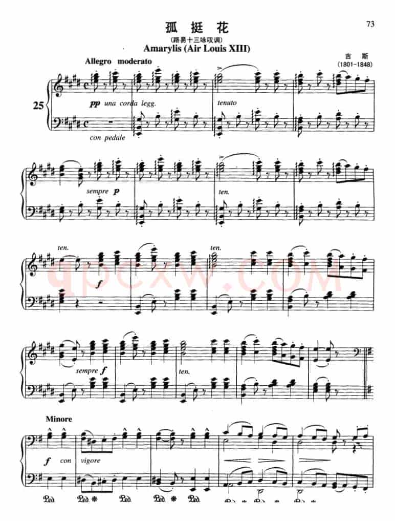不可不弹的世界钢琴名曲：孤挺花（路易十三咏叹调）
