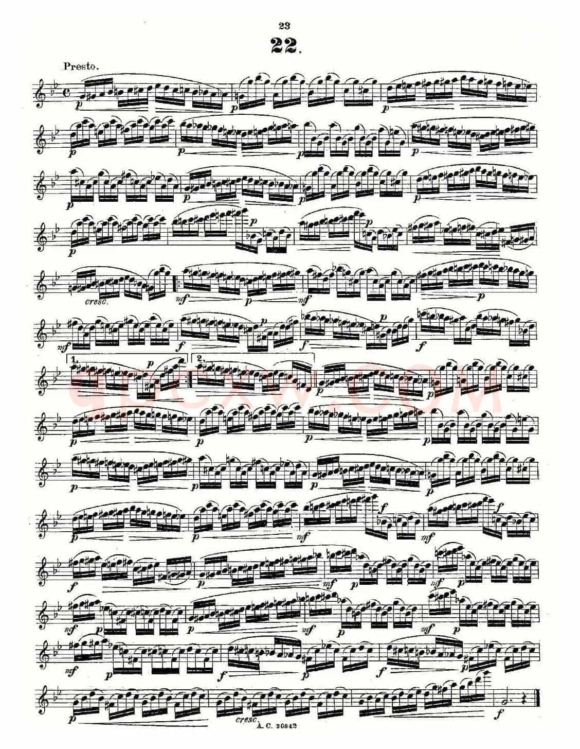 24首长笛练习曲 Op.21 之13—24