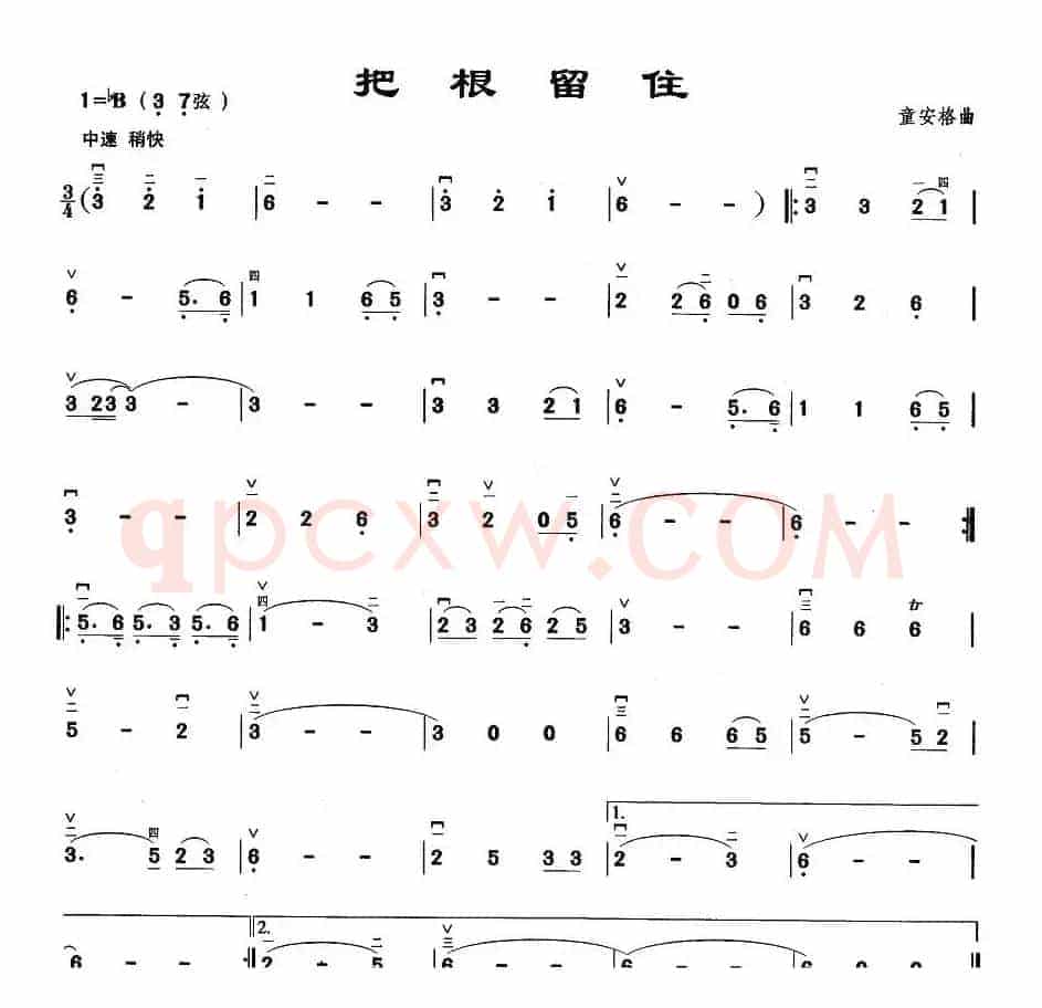 把根留住