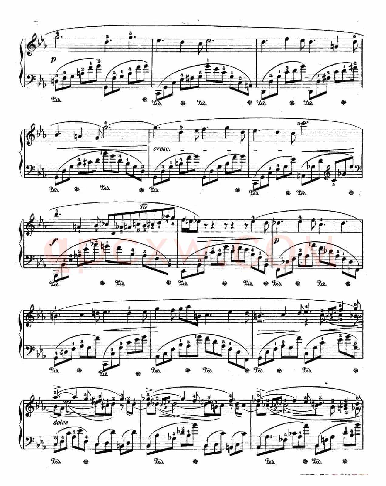 Deux Nocturnes Op.55 (2首夜曲·2)