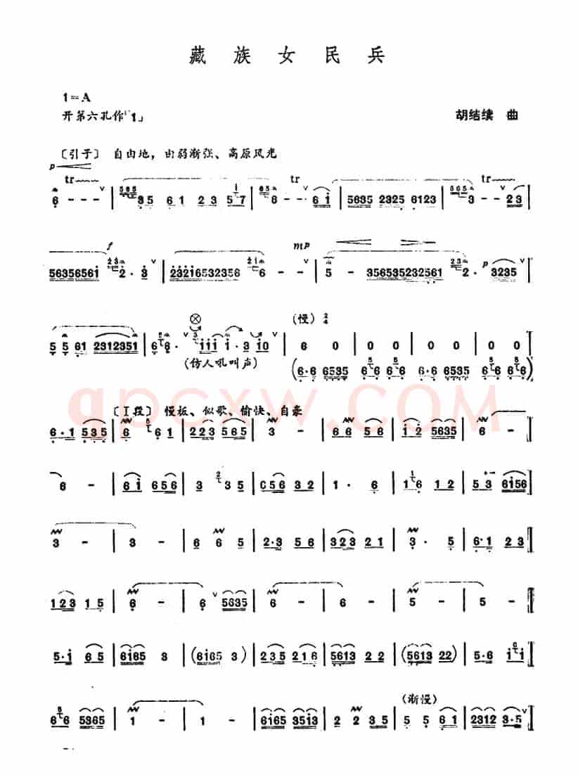 藏族女民兵