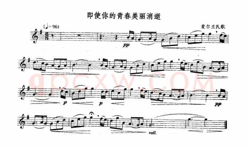 即使你的青春美丽消逝