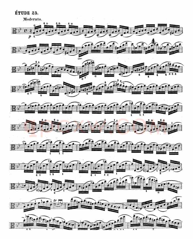 克莱采尔《中提琴练习曲40首》（ETUDE 24-26）