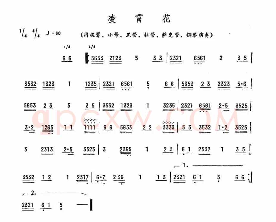 凌霄花