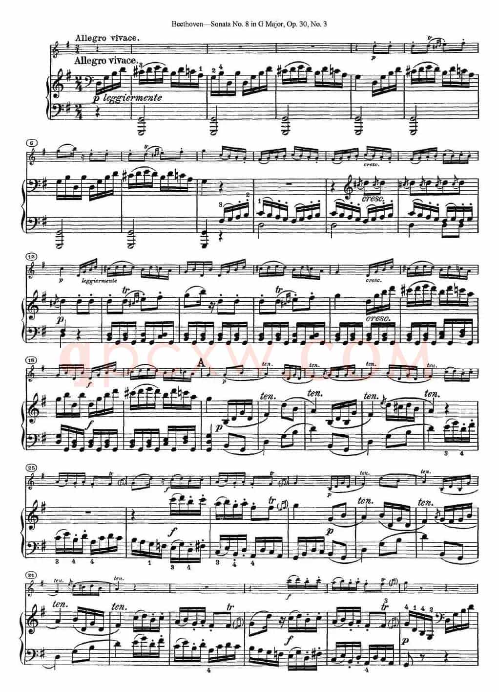 Violin Sonata No.8 in G Major Op.30 No.3（小提琴+钢琴伴奏）