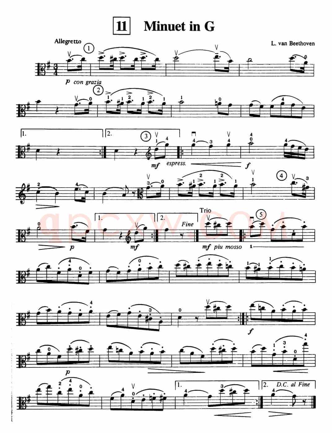 Minuet in G（中提琴）