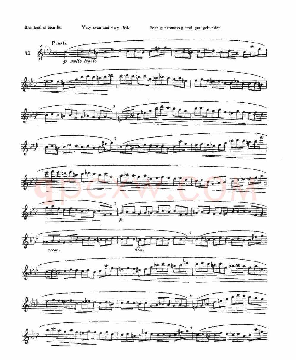 12首大技巧练习曲之11