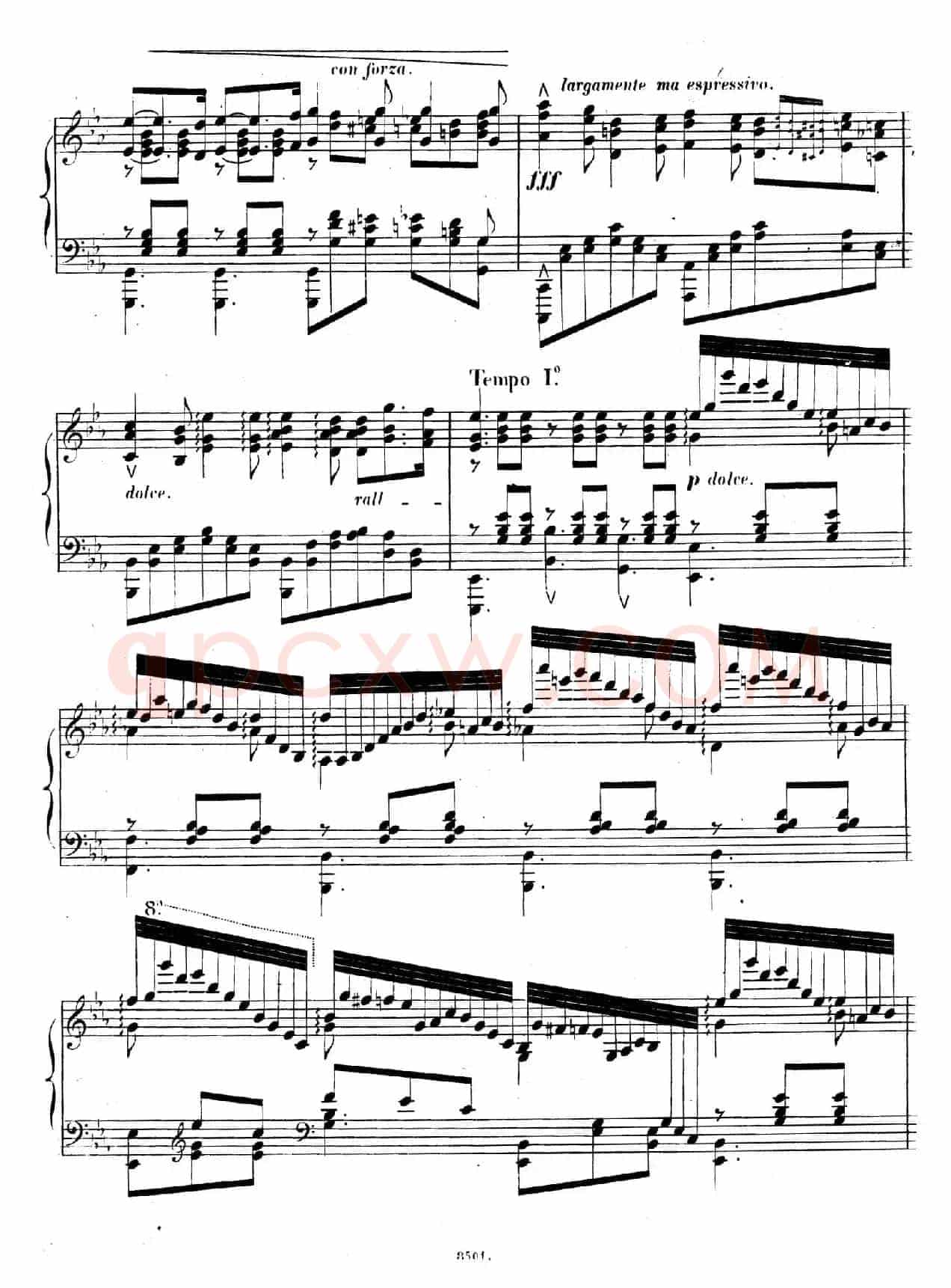 Caprice Etude de Concert