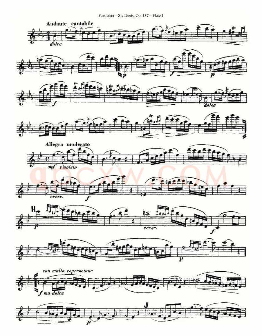 Six Duets, Op.137 之五（二重奏 六首作品 137号）