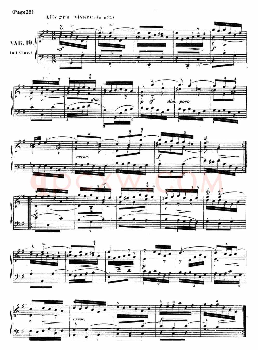 哥德堡变奏曲 巴赫 Goldberg Variationen BWV988