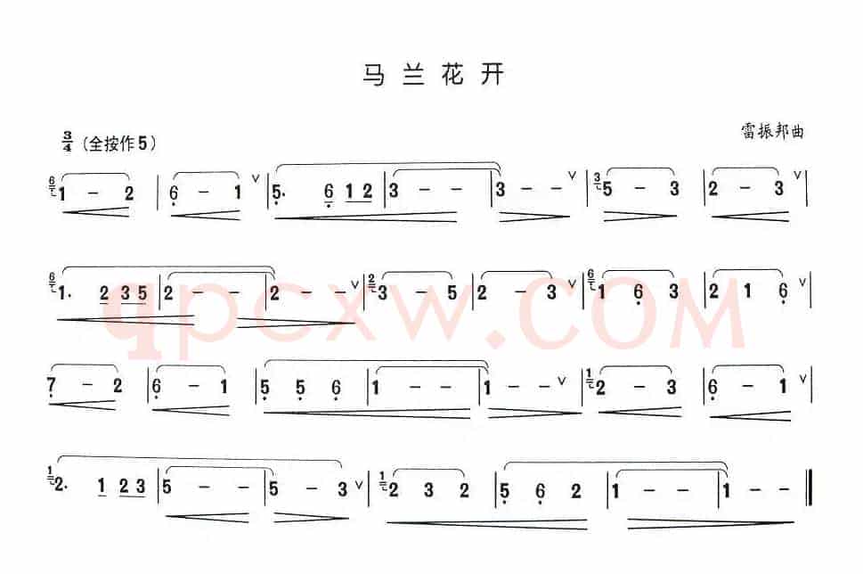 马兰花开