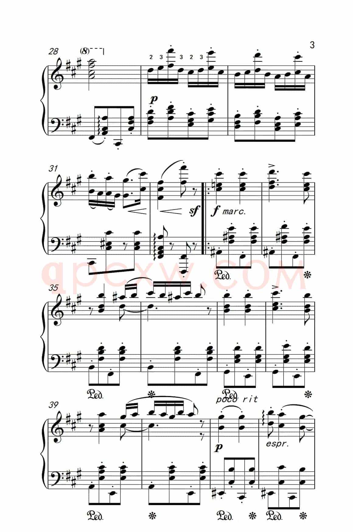 第五号匈牙利舞曲