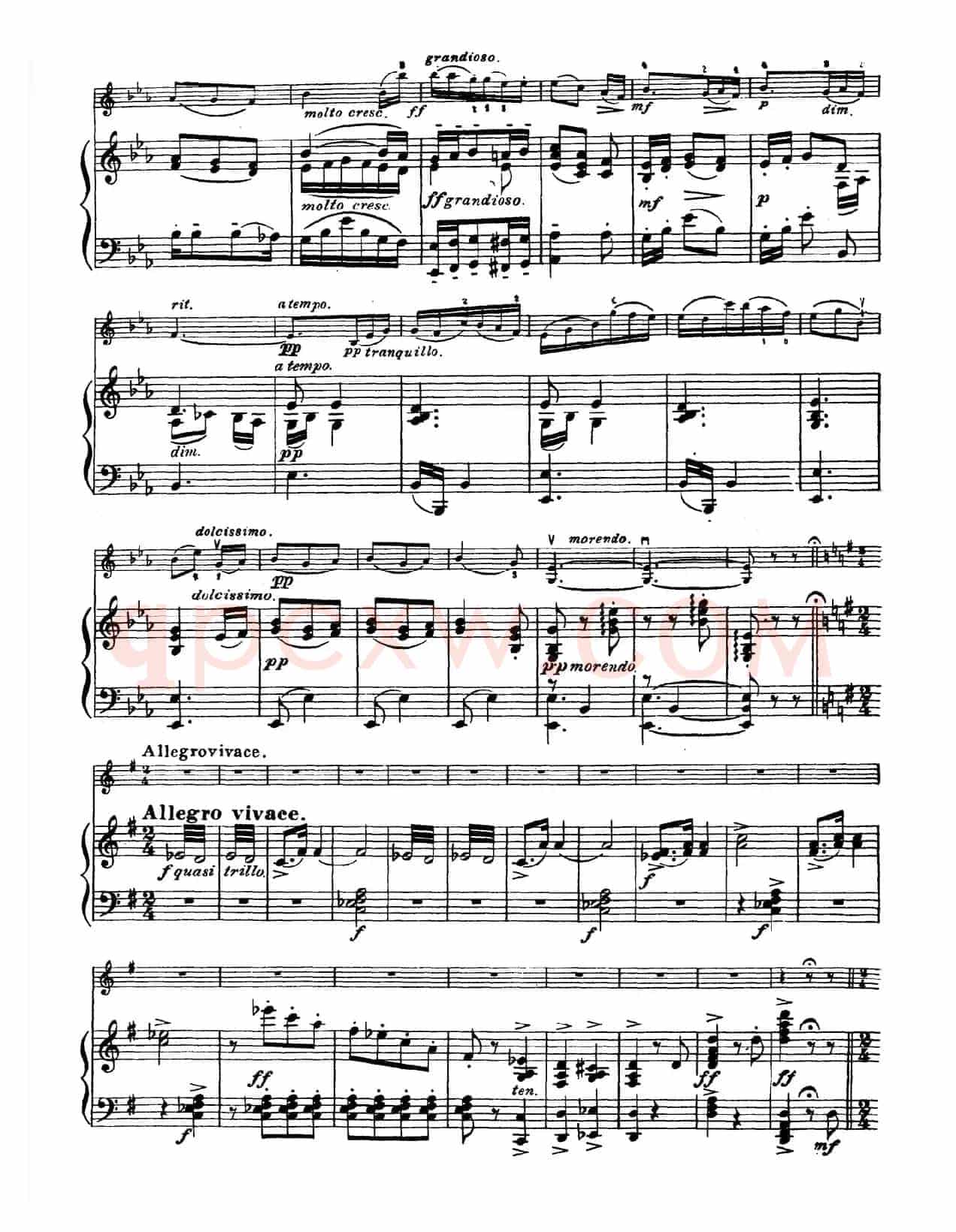g小调学生协奏曲（塞茨作品第12号）