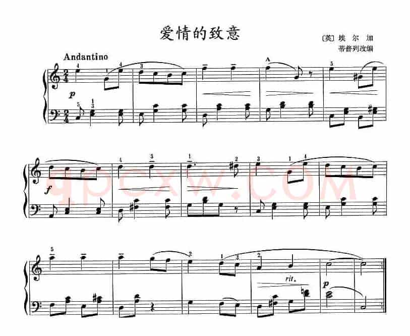 爱情的致意