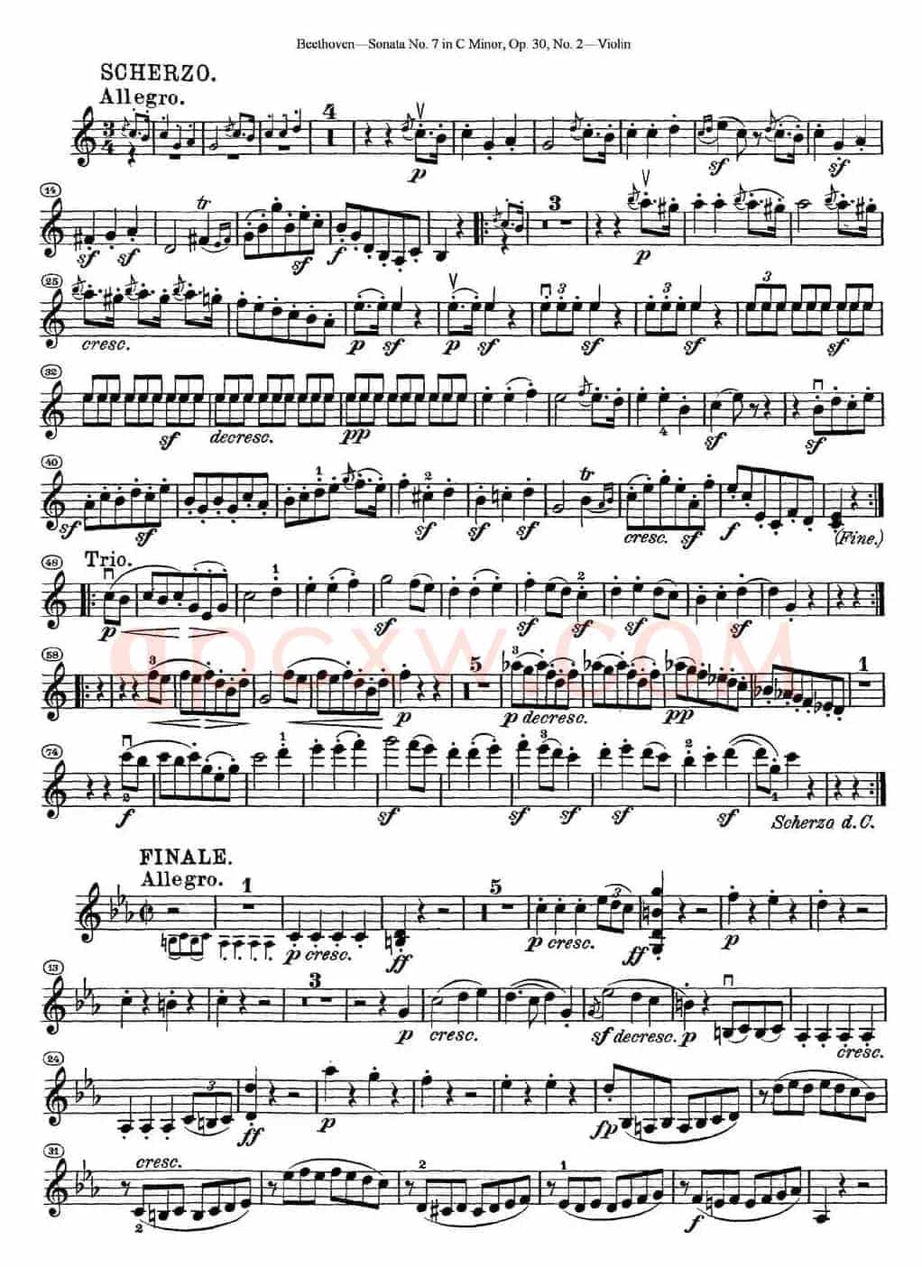 Violin Sonata No.7 in C Minor Op.30 No.2