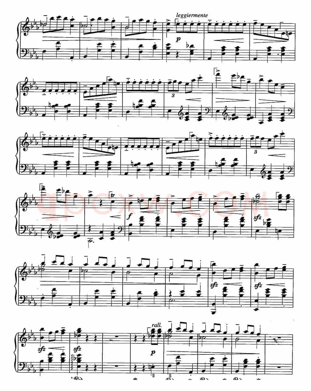 辉煌的大圆舞曲