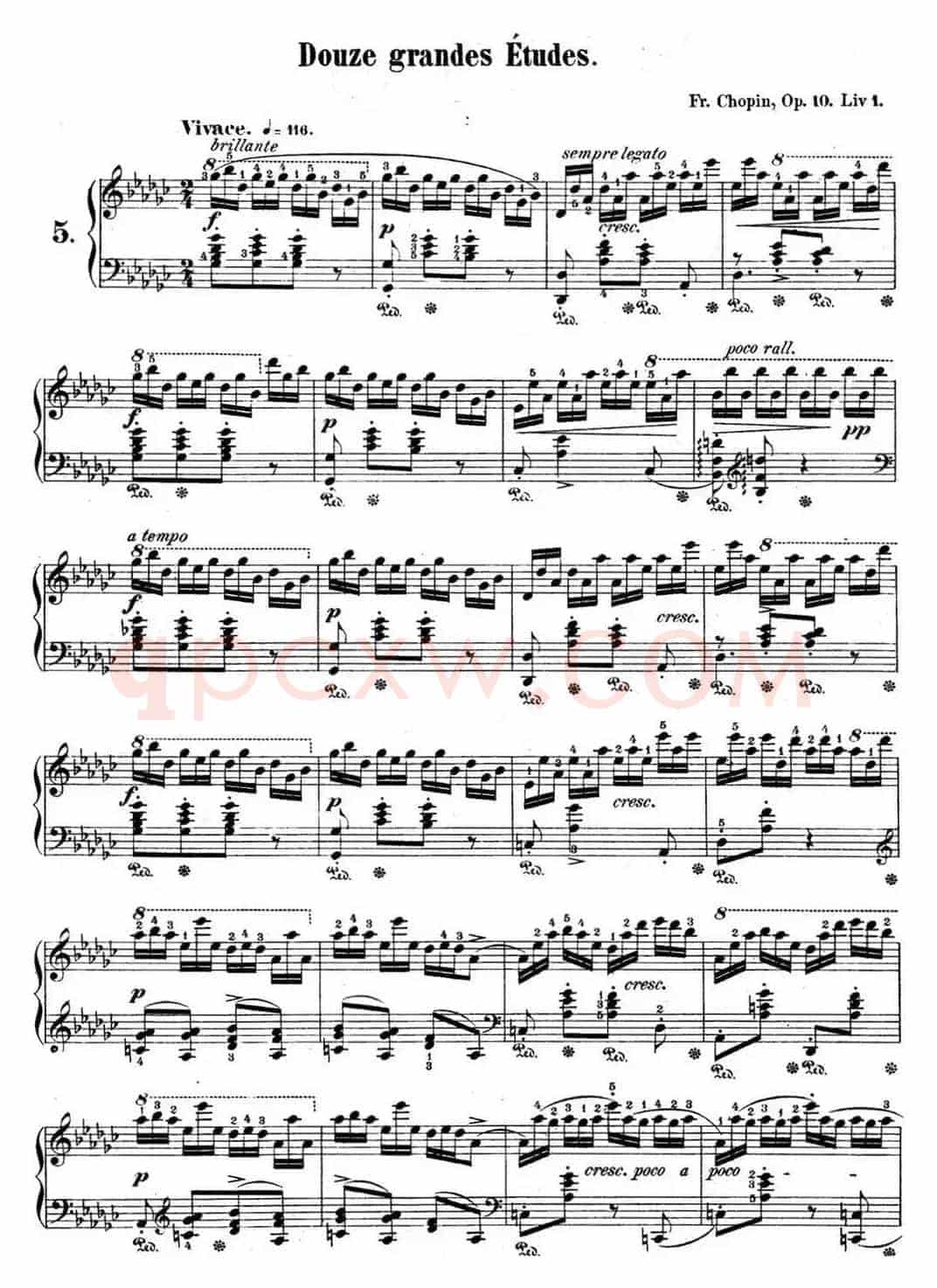 肖邦练习曲5 Op.10 No.5 黑键 降G大调 Gb major Black Key
