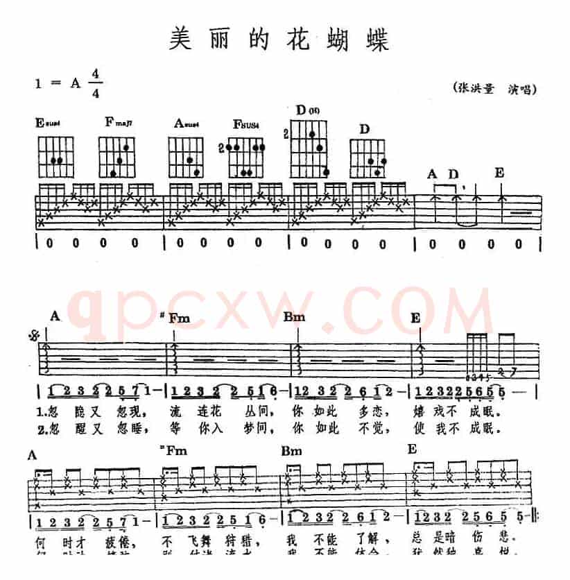 民族吉他弹唱：美丽的花蝴蝶