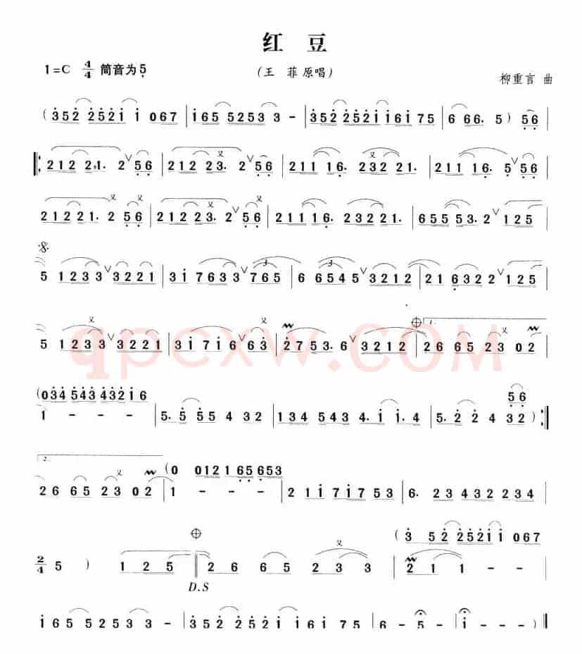 红豆
