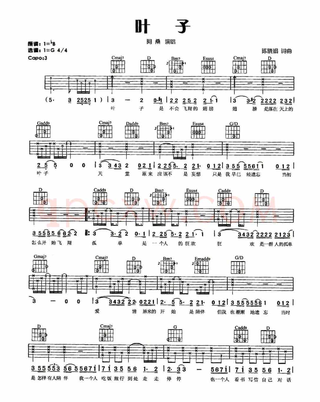 叶子（陈晓娟词曲）