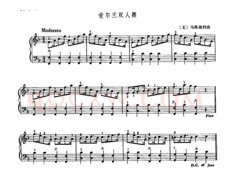 爱尔兰双人舞