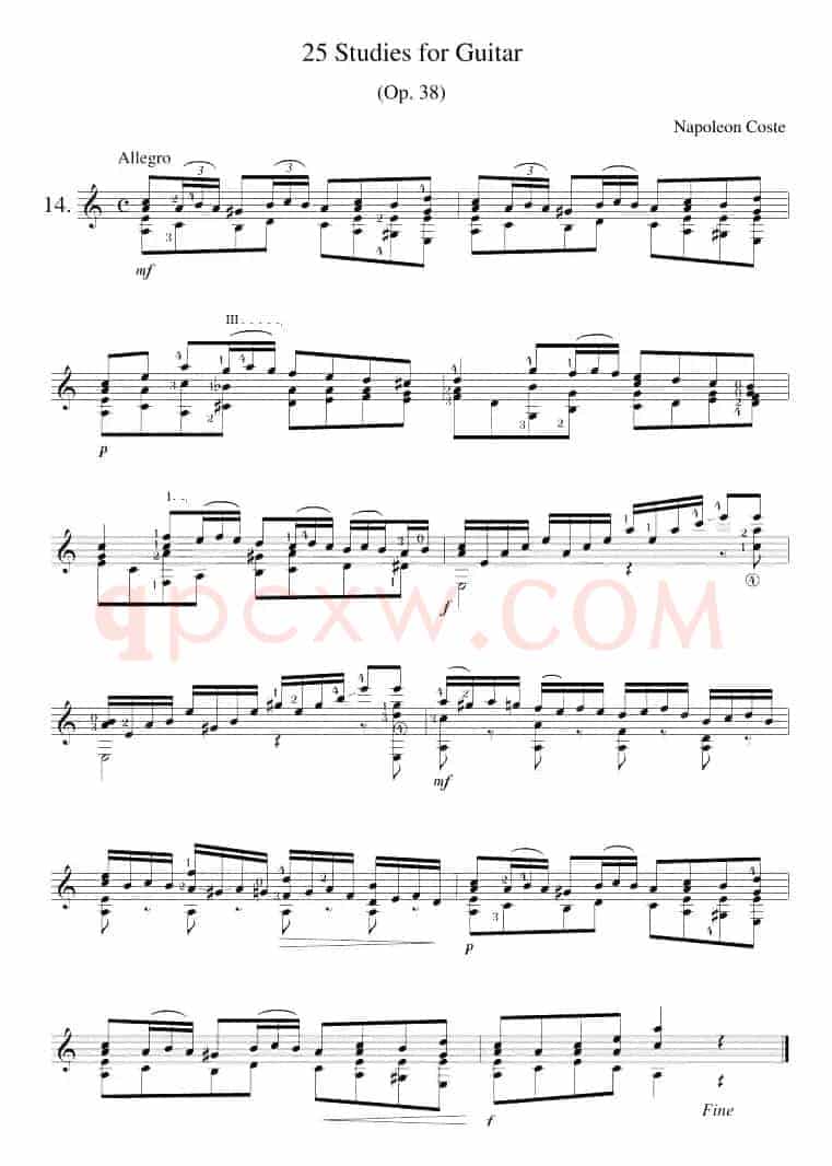 Napoleon Coste《25 Studies,Op.38》（STUDY 14）