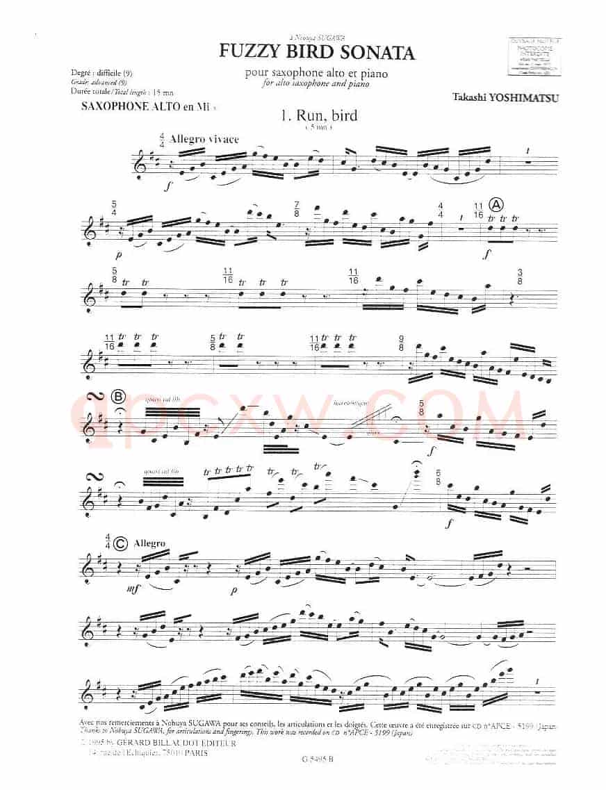 毛绒鸟奏鸣曲之一（须川展也的《Fuzzy Bird Sonata》）