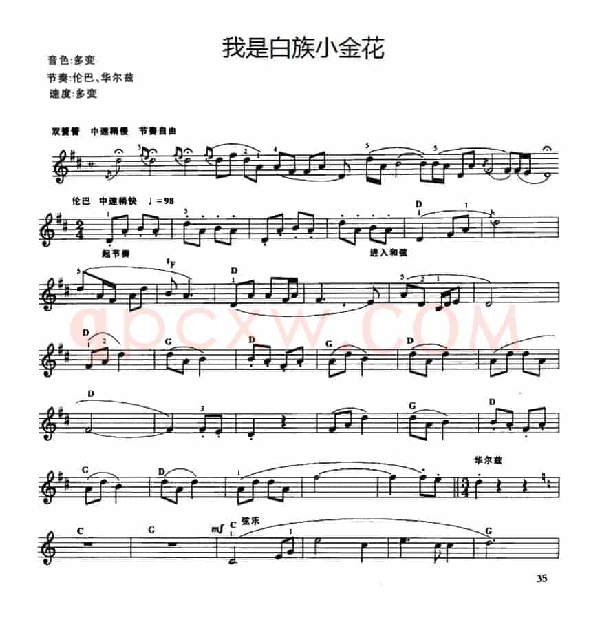 我是白族小金花