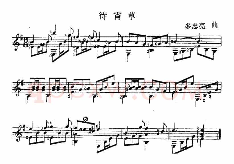 西班牙吉他独奏曲：待宵草