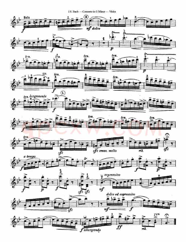 Concerto in G Minor（G小调协奏曲）