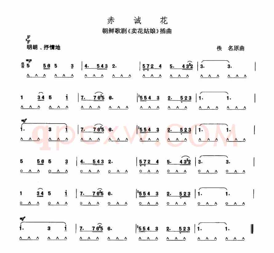 赤诚花