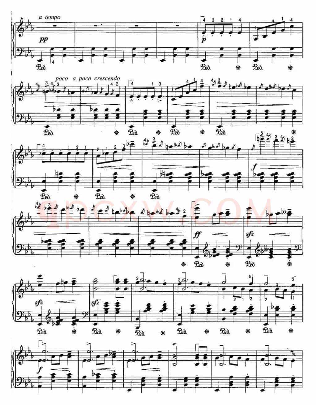 不可不弹的世界钢琴名曲：辉煌的大圆舞曲