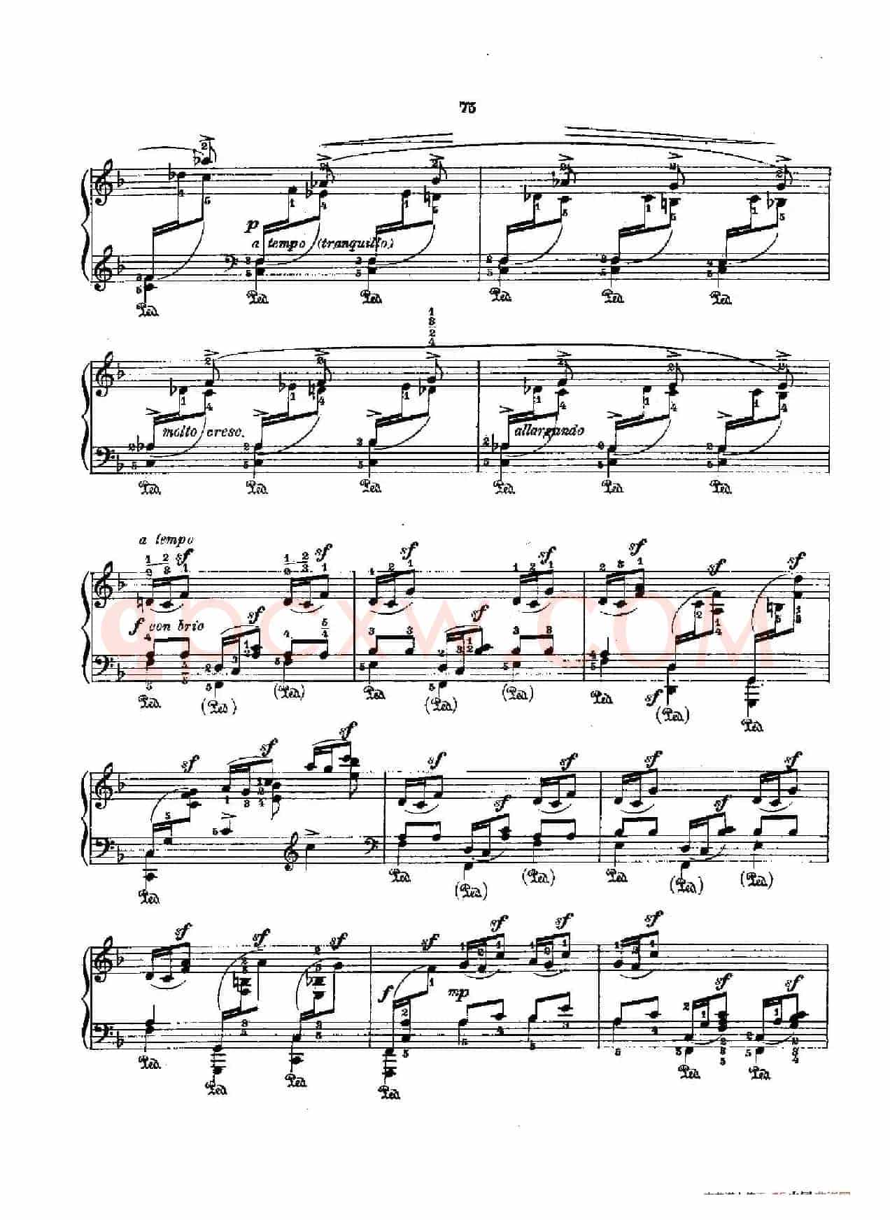53首以肖邦练习曲为素材而作的练习曲（No.30）